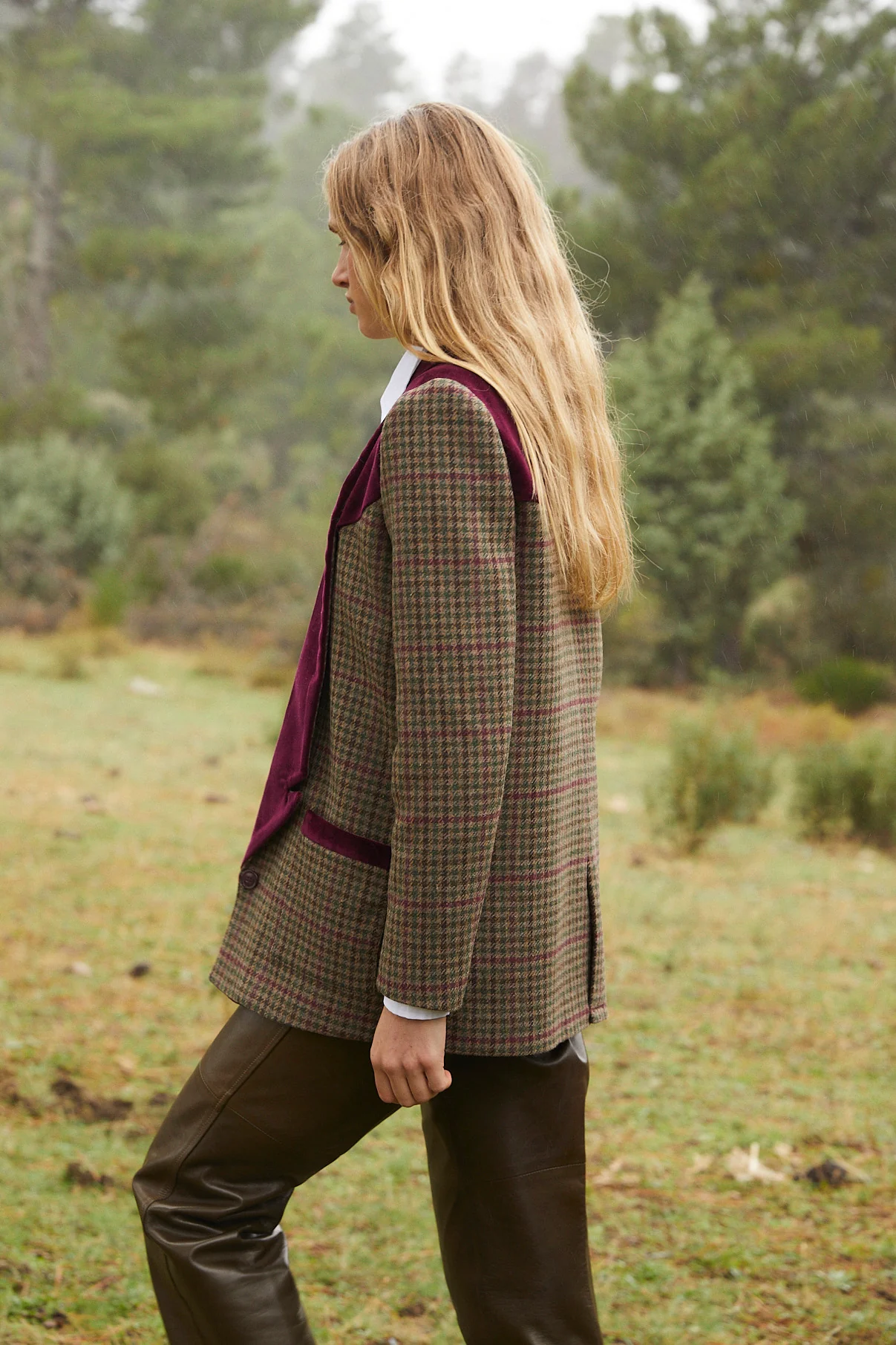 Harry Blazer - Image 3