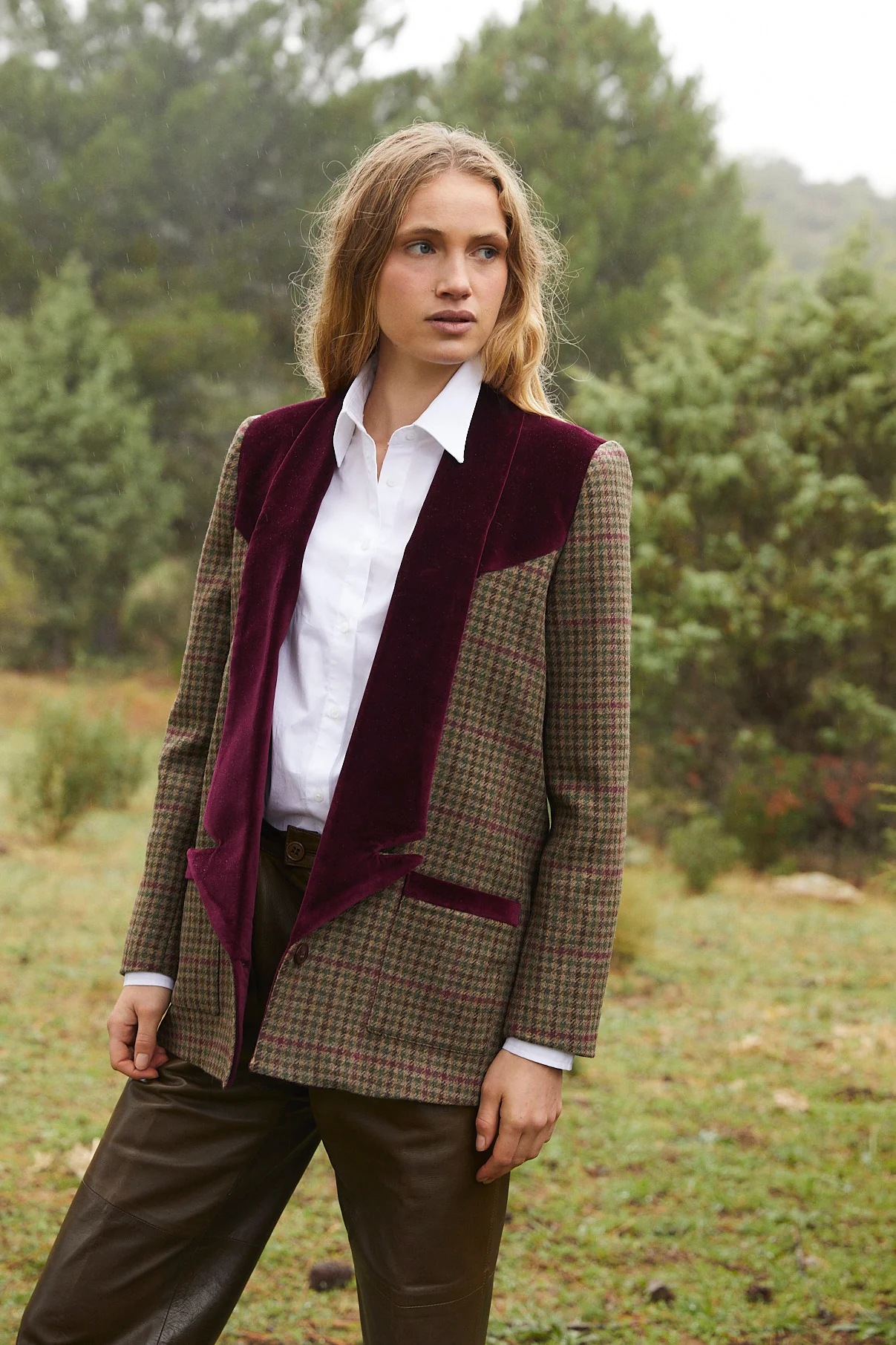 Harry Blazer - Image 7